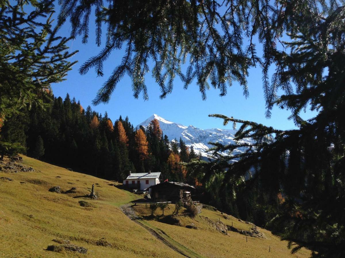 Chalet Del Bosco Valdisotto Eksteriør bilde
